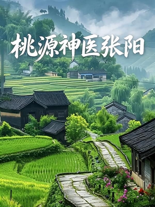 桃源神医张阳